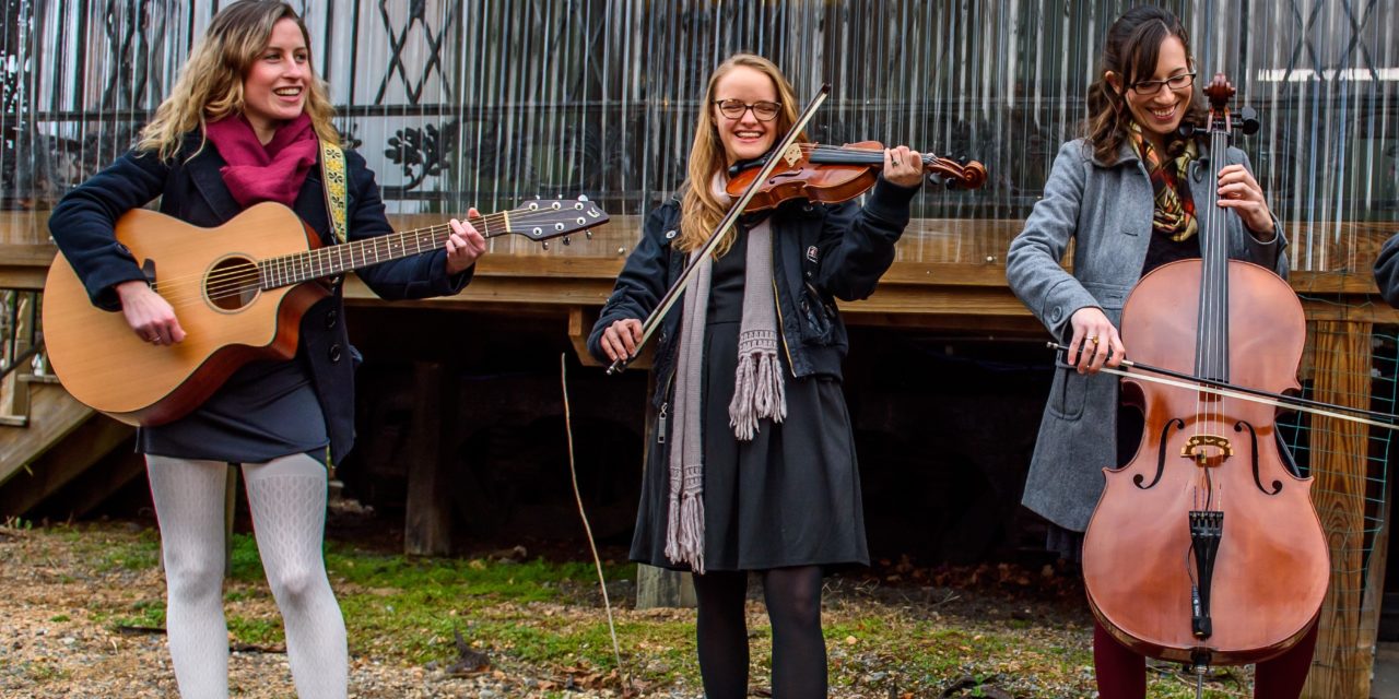 Live & Local: Honey Magpie