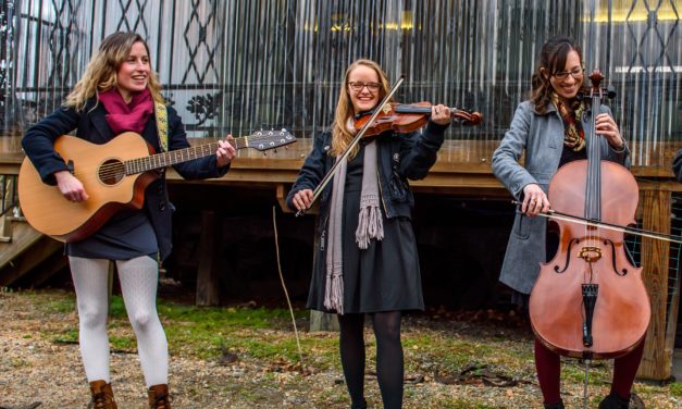 Live & Local: Honey Magpie