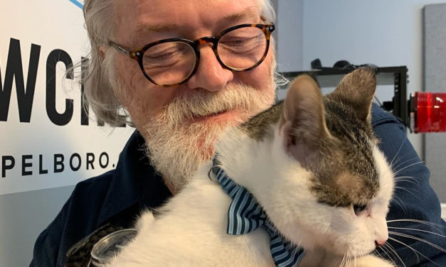 Adopt-A-Pet: Quinnie and Quentin from Independent Animal Rescue