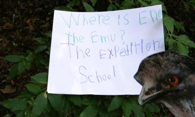 Orange County Embraces ‘Eno the Emu’ Craze