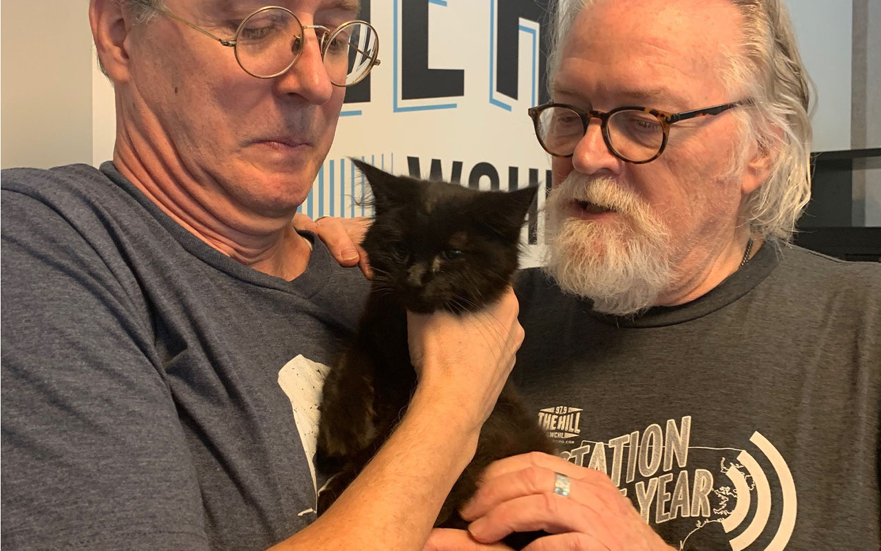 Adopt-A-Pet: Randy from the Goathouse Refuge