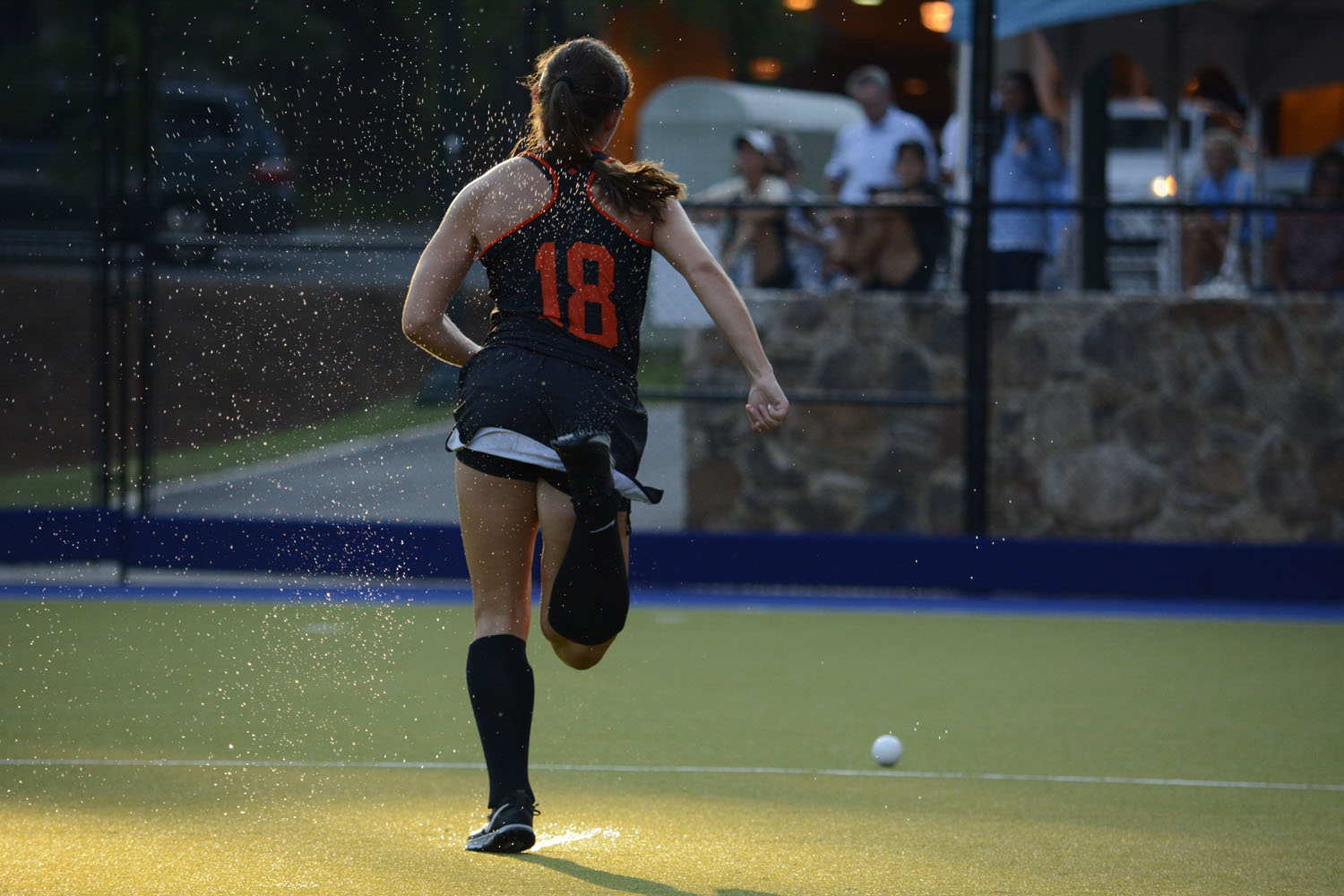 Photo Gallery UNC Field Hockey versus Princeton