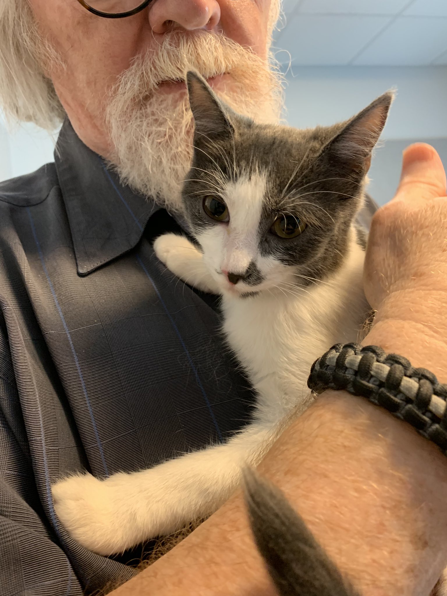 Adopt-A-Pet: Benny and Sweetie from Orange County Animal Services