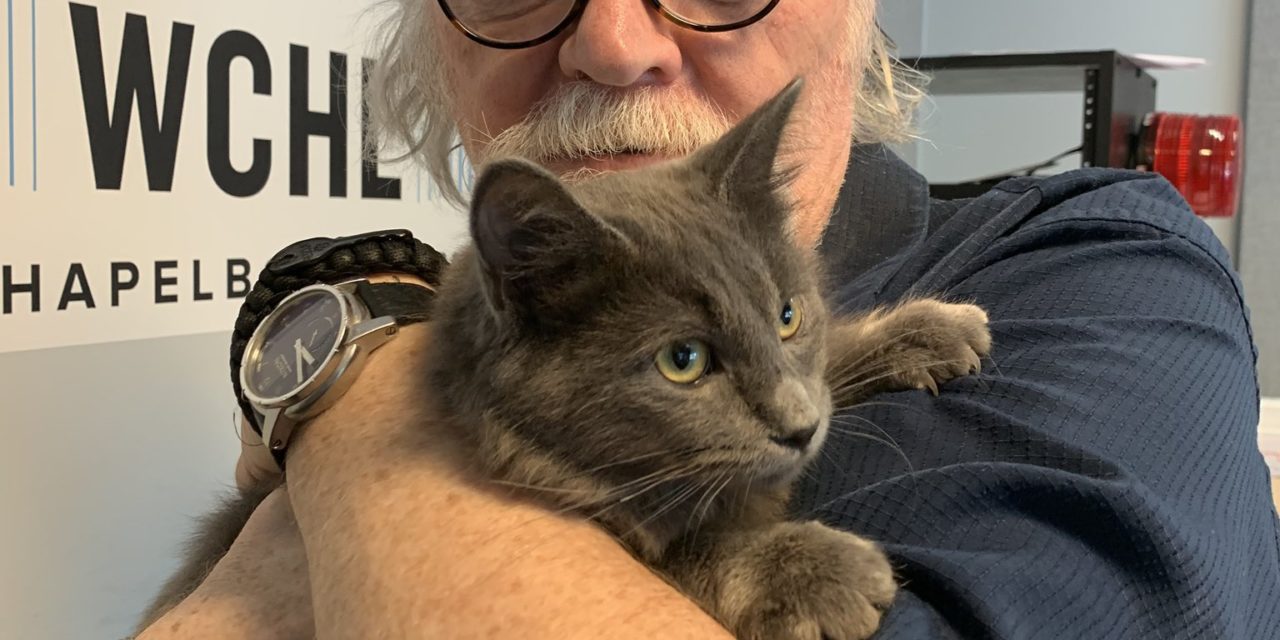 Adopt-A-Pet: Jam from Goathouse Refuge