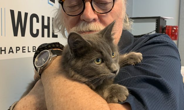Adopt-A-Pet: Jam from Goathouse Refuge