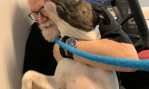 Adopt-A-Pet: Sally from Orange County Animal Services