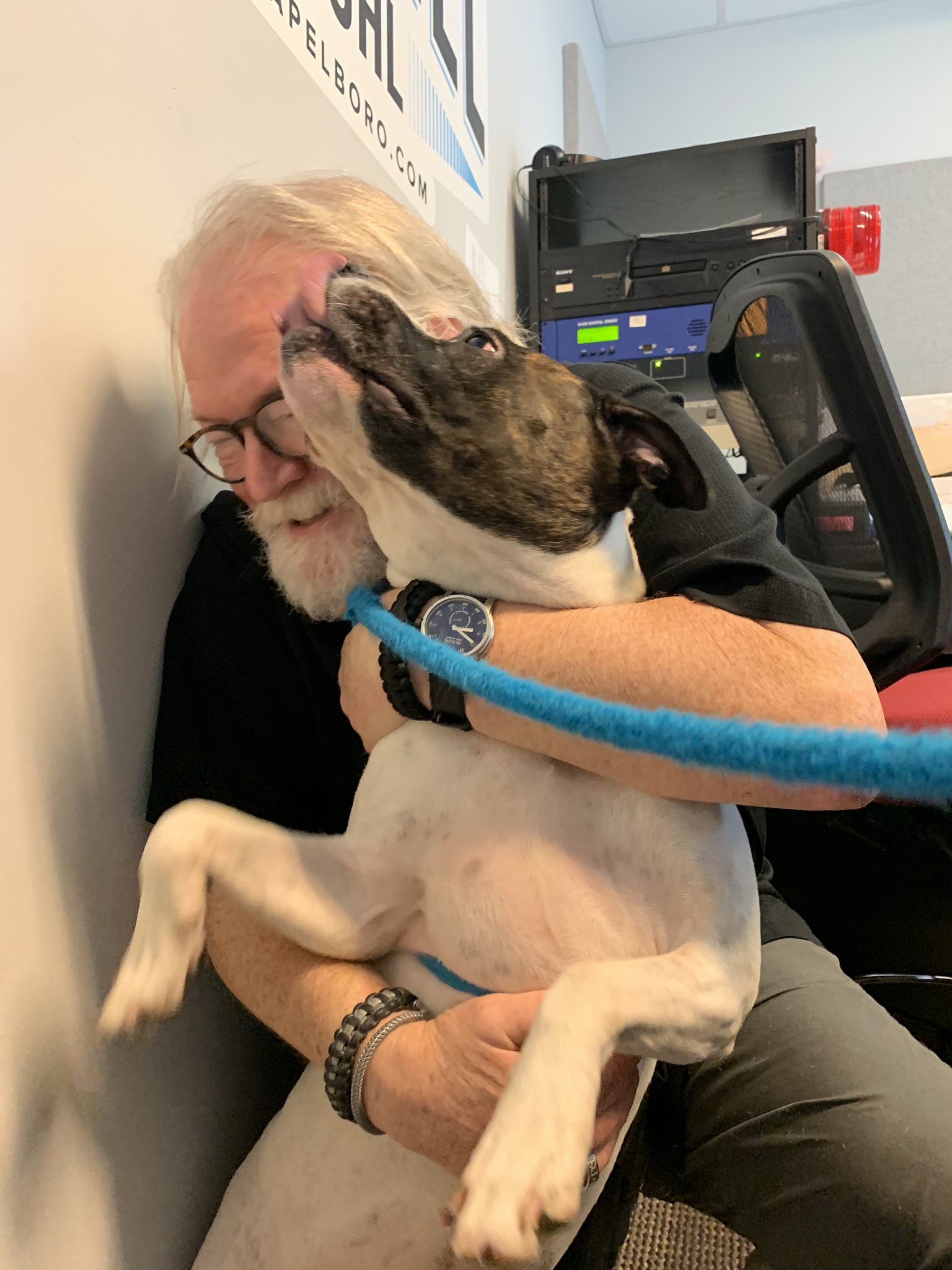 Adopt-A-Pet: Sally from Orange County Animal Services