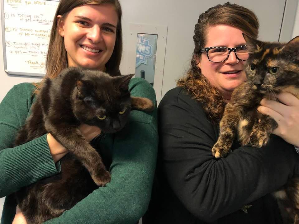 Adopt-A-Pet: Salem & Hyena from Orange County Animal Services