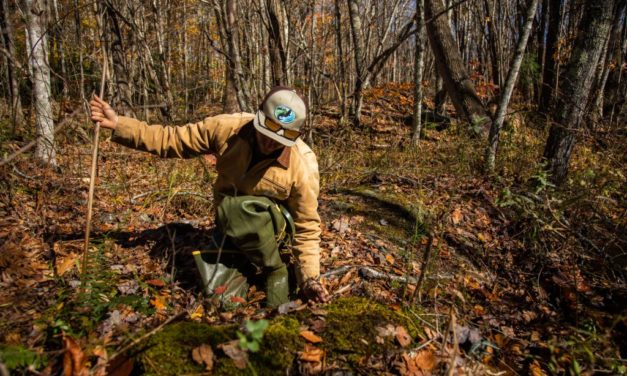The Quest to Protect the Bog Turtle: Saving NC’s Smallest Turtle