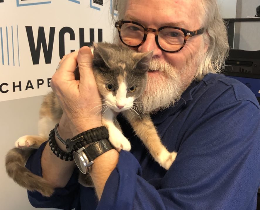 Adopt-A-Pet: Bay from Goathouse Refuge