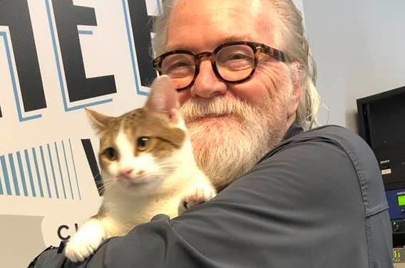Adopt-A-Pet: Fafa from Orange County Animal Services