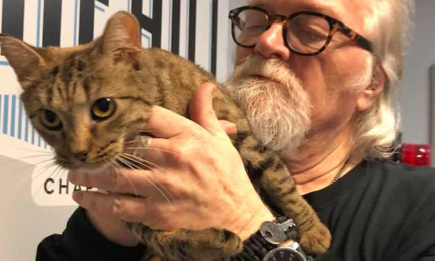 Adopt-A-Pet: Jann from the Goathouse Refuge