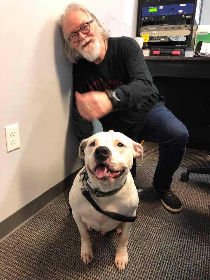 Adopt-A-Pet: Buck from Yadid’it! Sustainable Dog Rescue