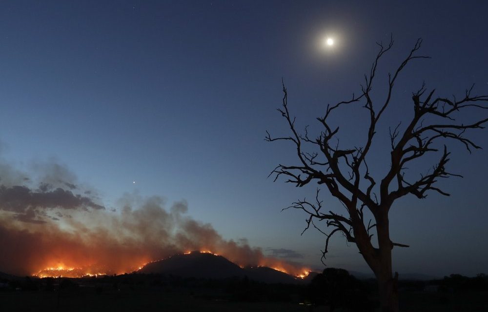 Wildfire Creates State of Emergency in Australian Capital