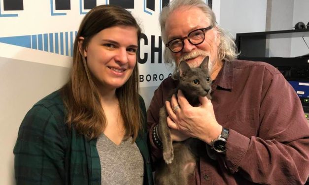 Adopt-A-Pet: Traveler from Orange County Animal Services