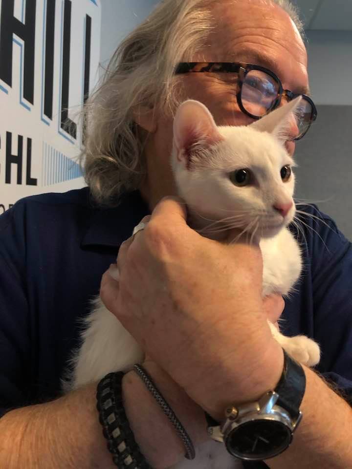 Adopt-A-Pet: Nieve from the Goathouse Refuge