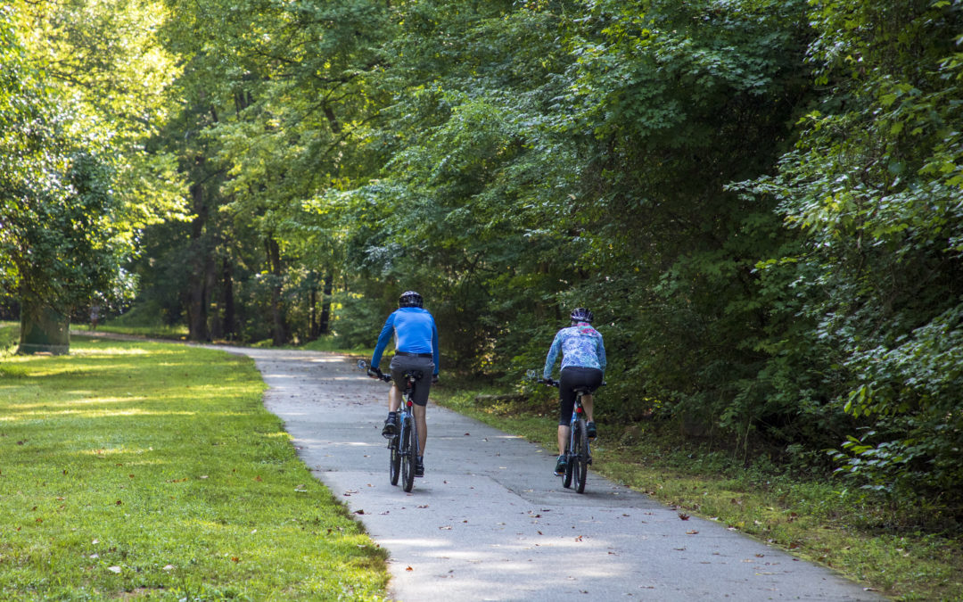 Sierra Club Releases Endorsements in Chapel Hill, Carrboro and Hillsborough Elections
