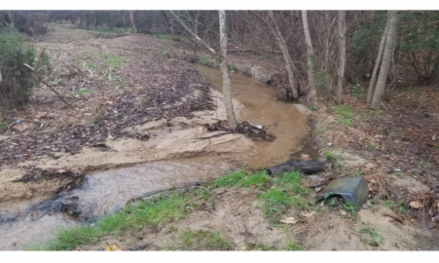 Town of Carrboro and Chapel Hill to Team Up for Creek Clean-Up
