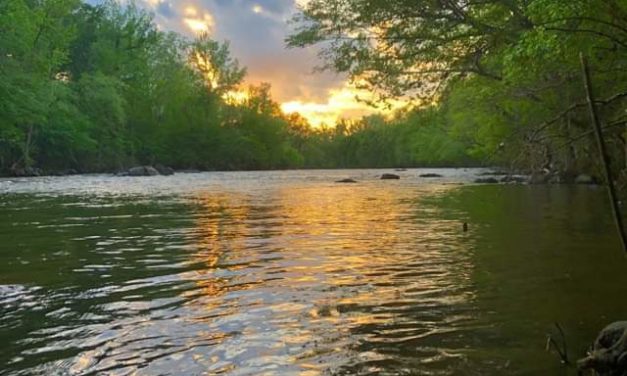 Pittsboro Board Considers Two Issues Plaguing Town’s Water