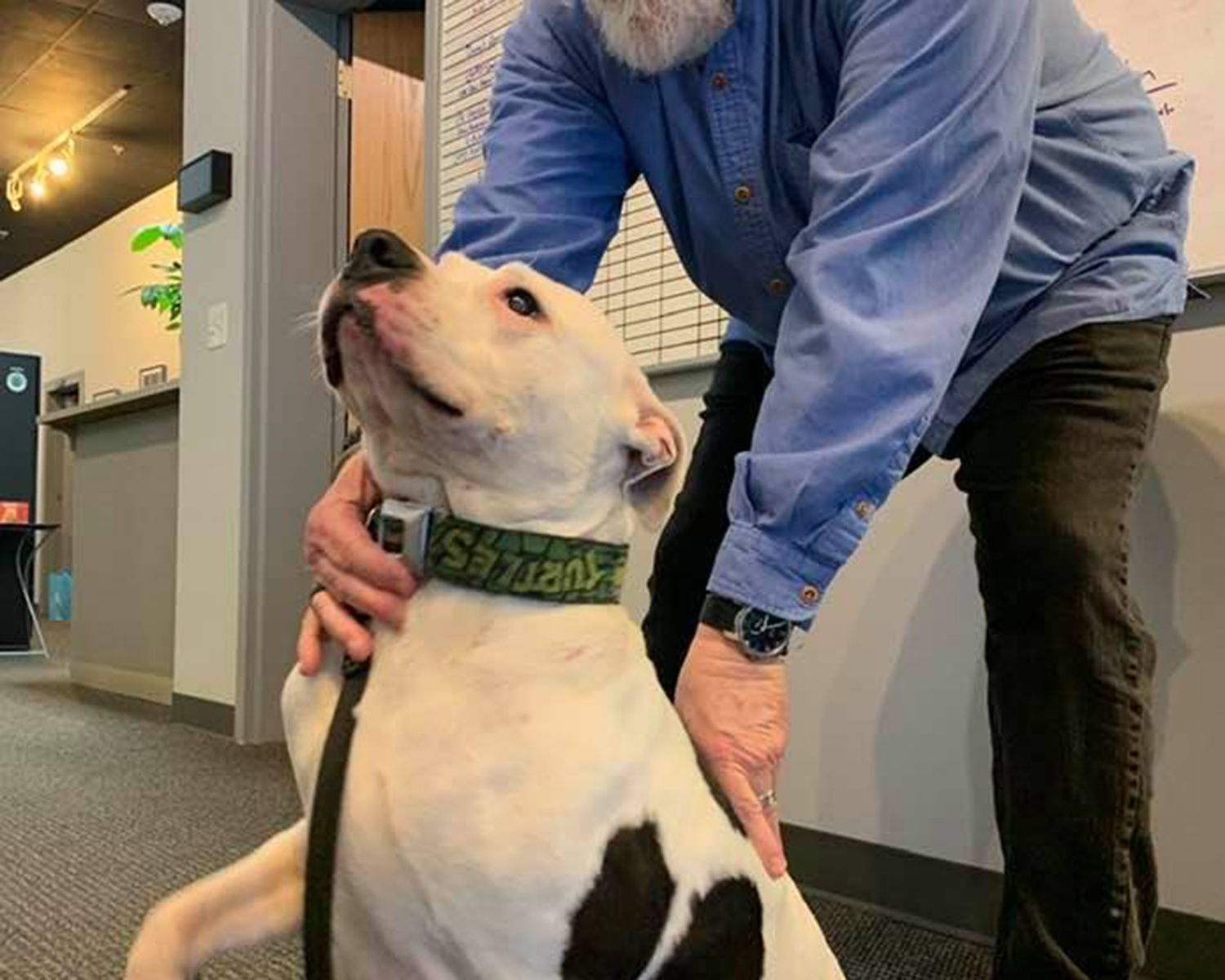 Adopt-A-Pet: Buck from Yadid’it! Sustainable Dog Rescue