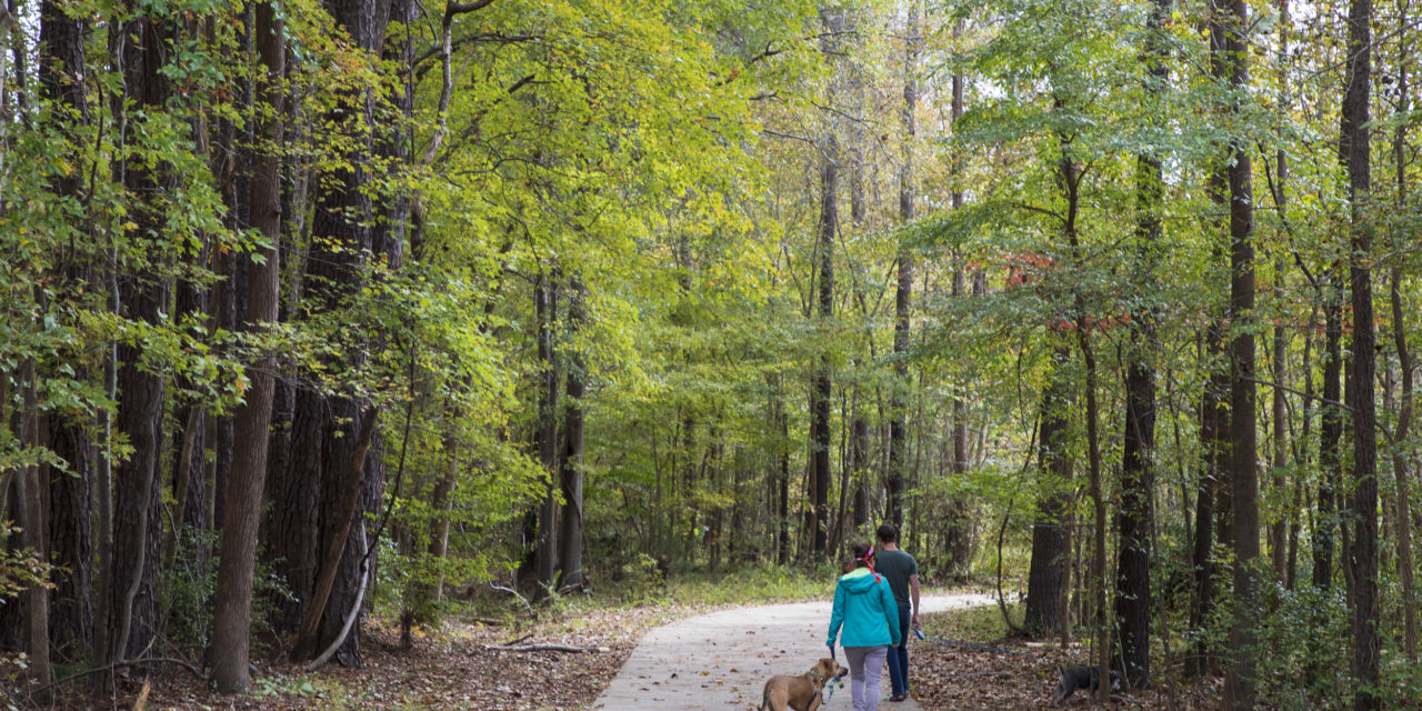 Repairs Close Part of Chapel Hill’s Morgan Creek Trail, Merritt’s Pasture