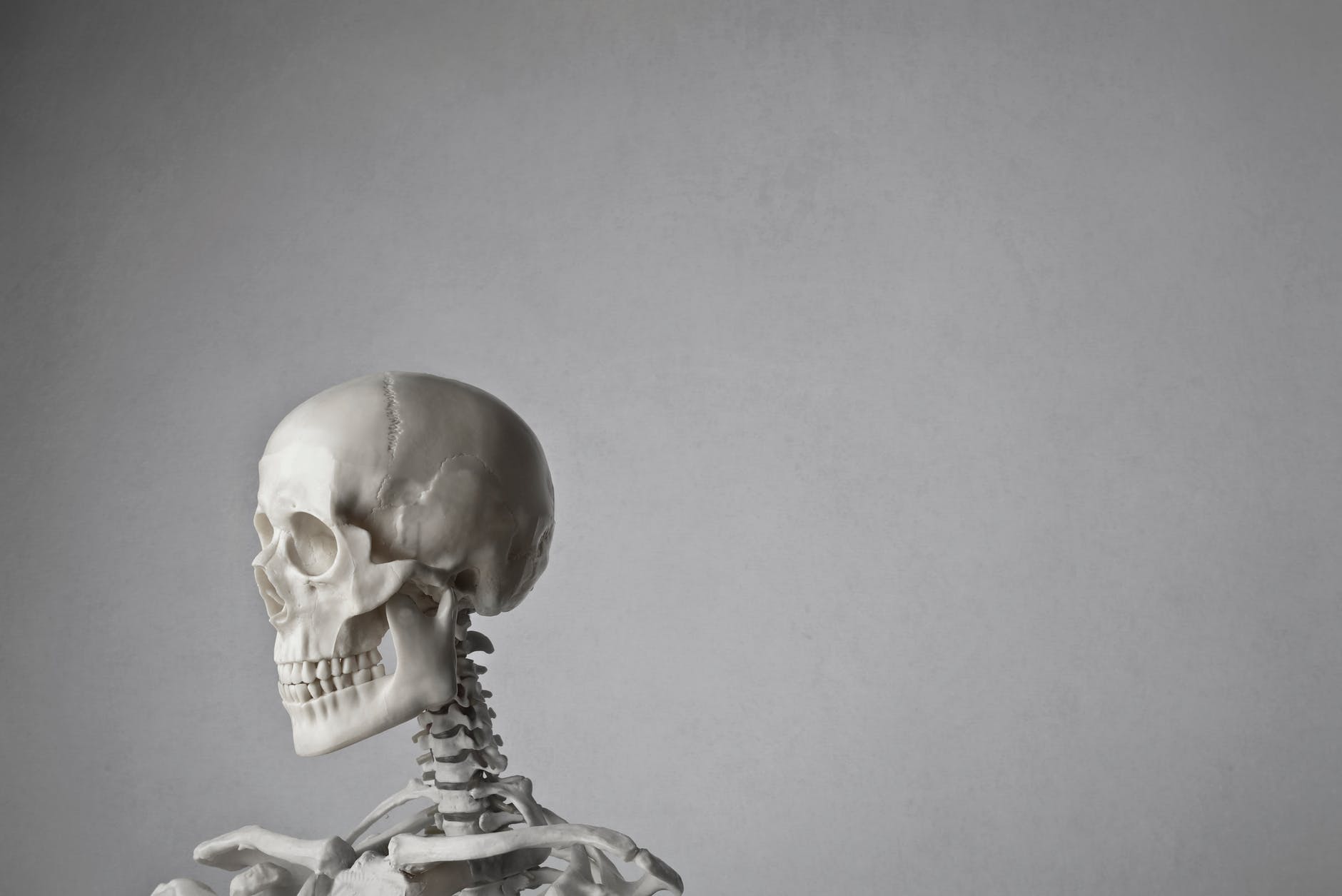 One on One: Plots, Hoaxes and Pandemics