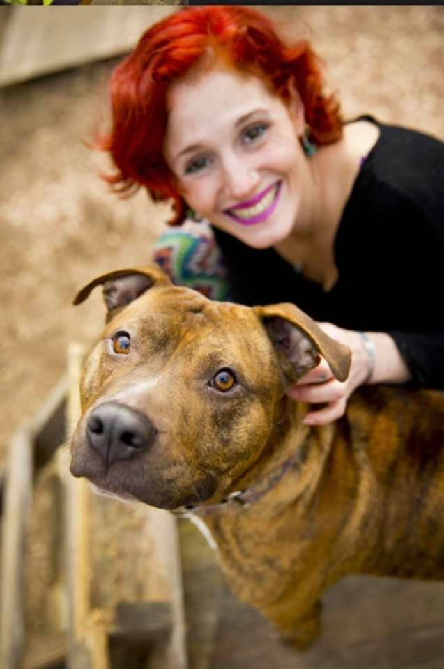 Adopt-A-Pet: Crocky Balboa from Yadid’it! Sustainable Dog Rescue