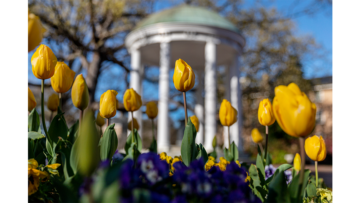 New UNC Humanities Scholarship Formed by $10 Million Gift