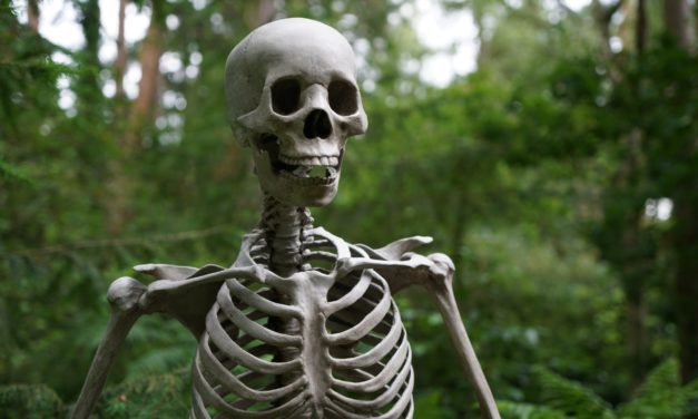 Viewpoints: Our Science Denial is Killing Us