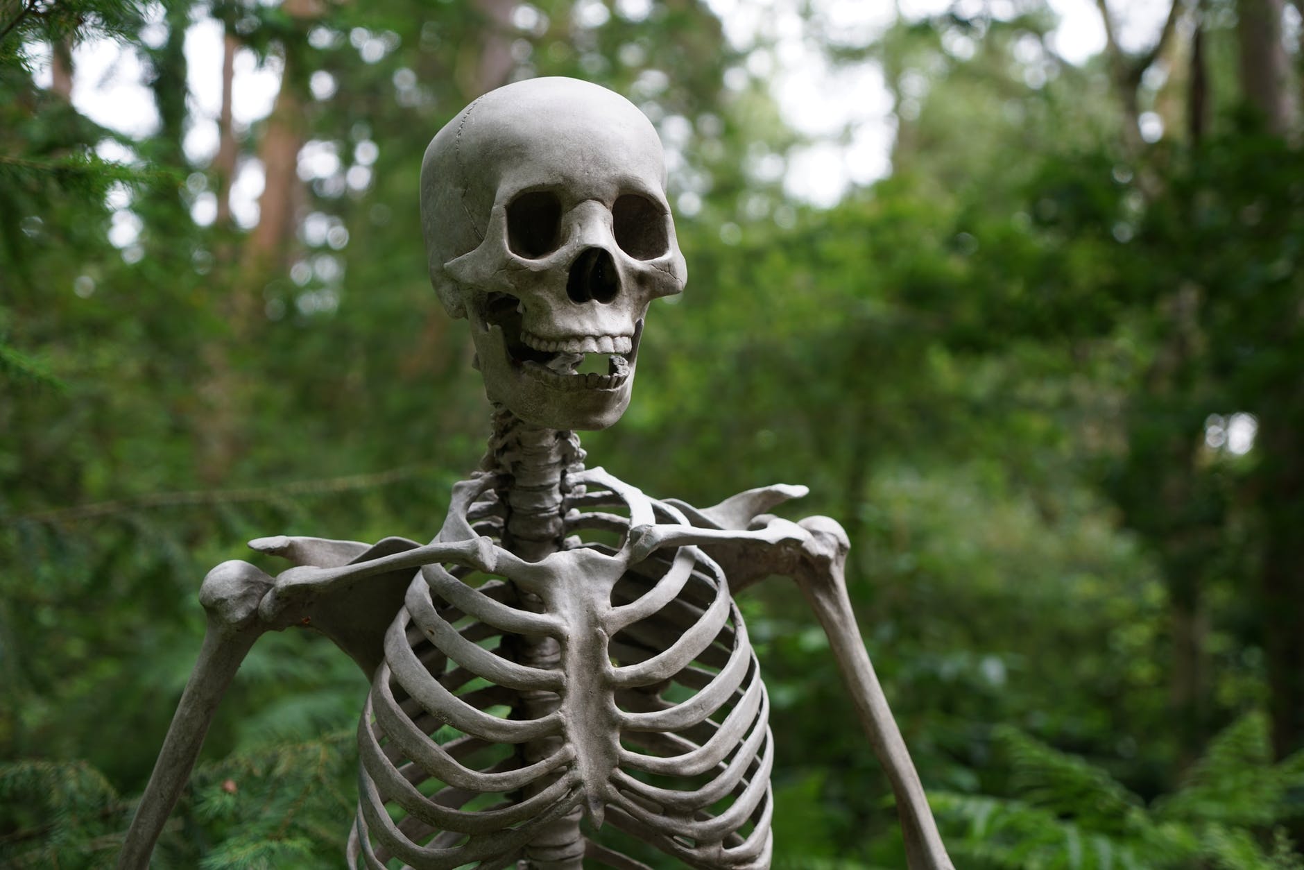 Viewpoints: Our Science Denial is Killing Us