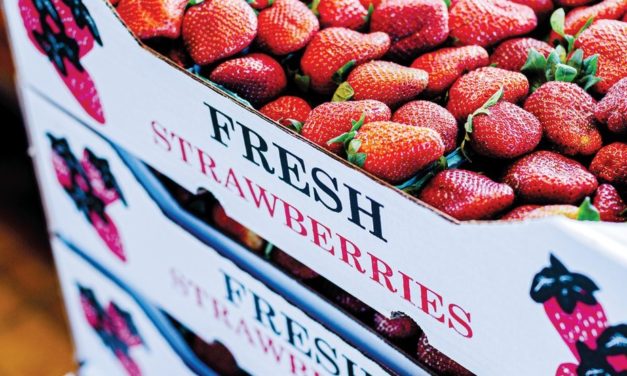 Good, Plentiful Crops Draw in Consumers at Jean’s Berry Patch