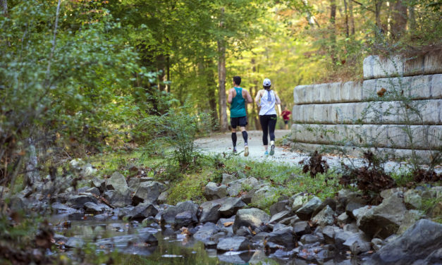 Could the Bolin Creek Greenway Be Finished? Carrboro Talks Next Steps