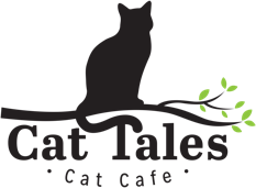 Cat Tales Cat Cafe