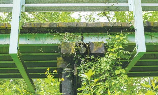 Recalling the Preservation of an Historic Bridge in Chatham County