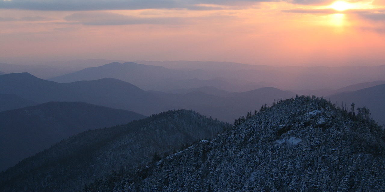 One on One: Saving the Great Smoky Mountains National Park