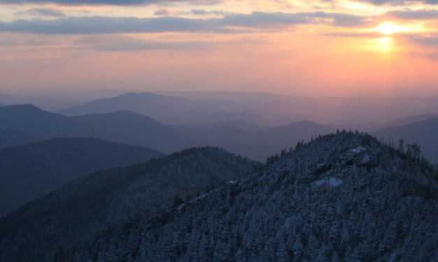 One on One: Saving the Great Smoky Mountains National Park