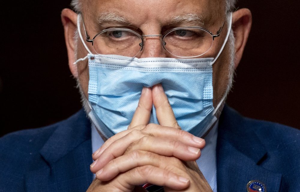 200,000 Dead as Trump Vilifies Science, Prioritizes Politics