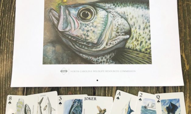 Pittsboro Artist Jeff Christian Captures the Wild World