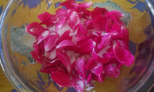 Just the Bill, Please: Second Summer & Rose Petals