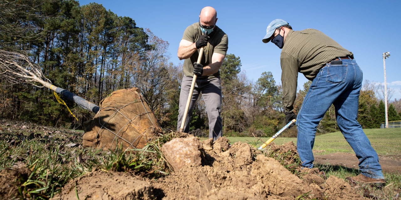 Tree-Planting Event in Carrboro Helps Town’s Climate Action Plan