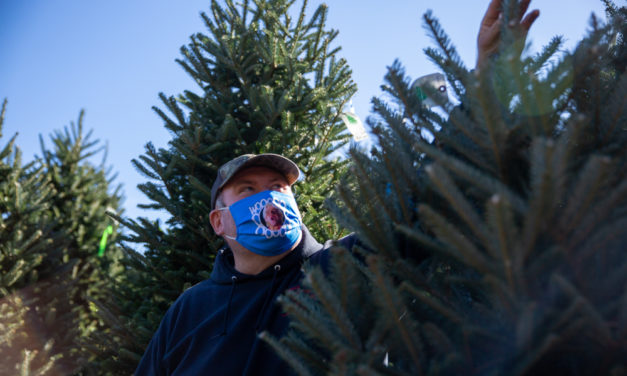 Pandemic or Not, Fresh-Cut Fir Trees Help Make the Season Special