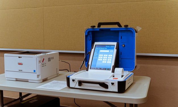 Chatham County Write-Ins Lighten Election Mood