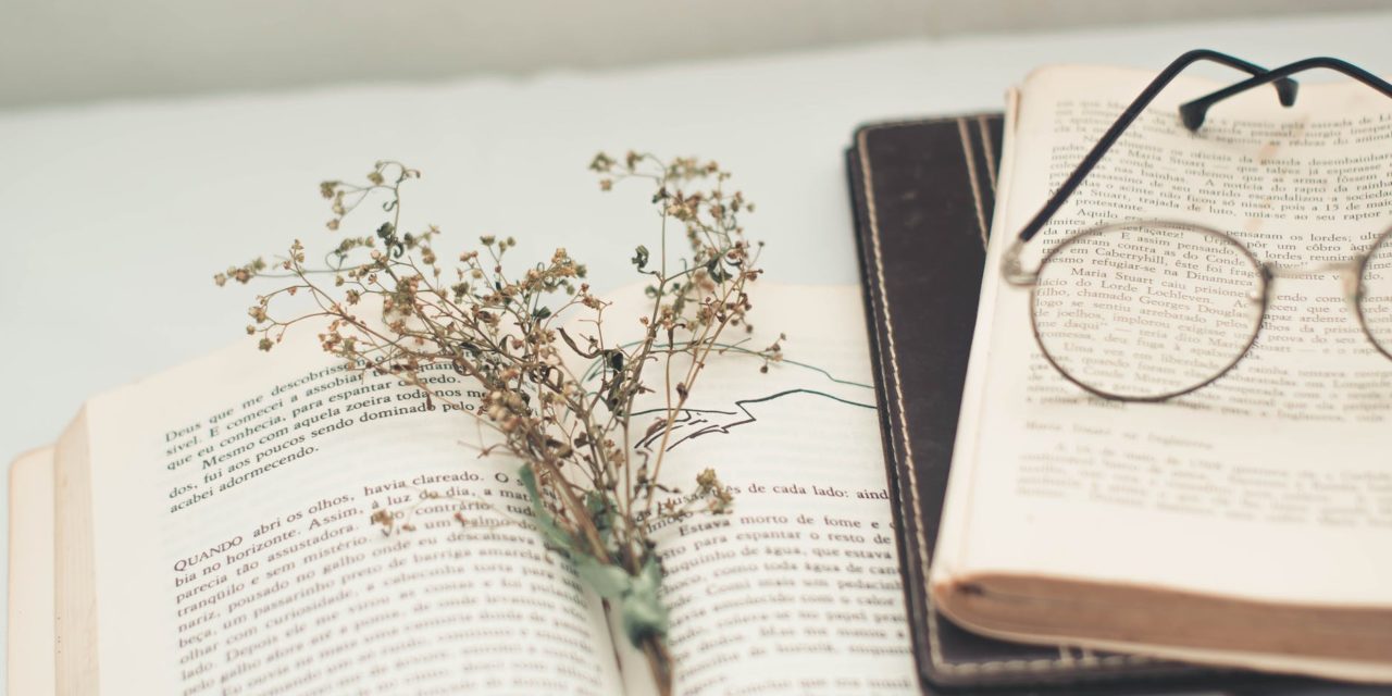 One on One: More North Carolina Books for Gift-Giving