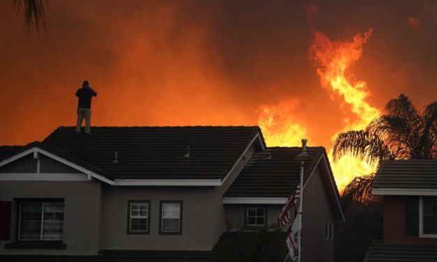 U.N. Calls on Humanity To End ‘War on Nature,’ Go Carbon-Free