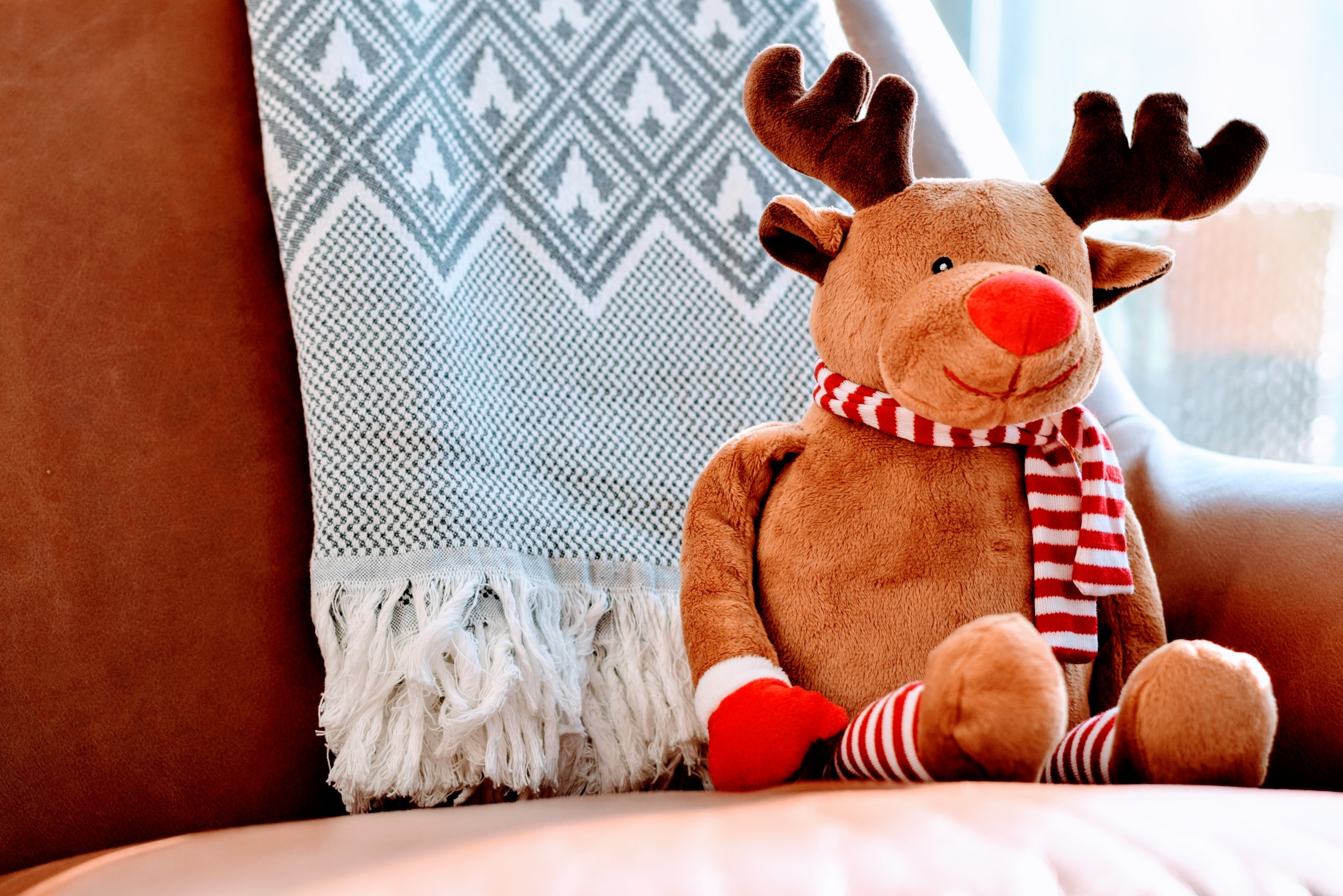 One on One: Rudolph’s Little Brother