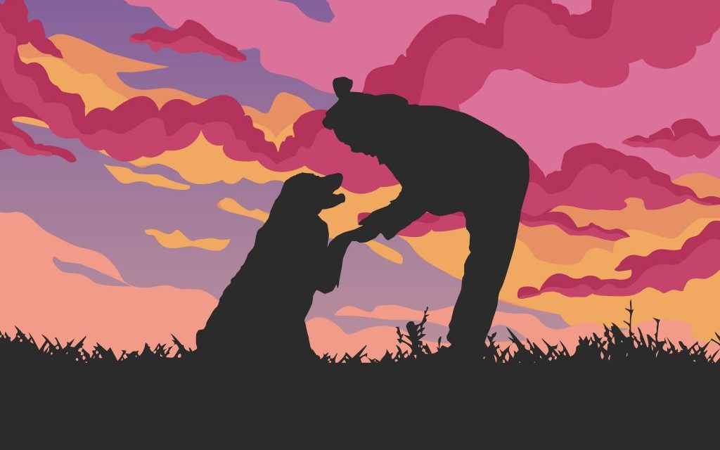 Animal Communicators Help To Heal People and Pets