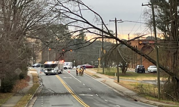 Fallen Tree Causes Power Outages, Road Closures Near Chapel Hill Public Library