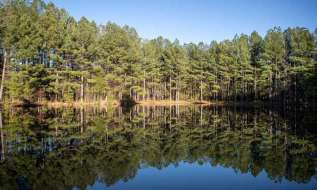 North Carolina’s First 100 Percent Net Zero Energy Neighborhood: A Conversation With Jodi Bakst