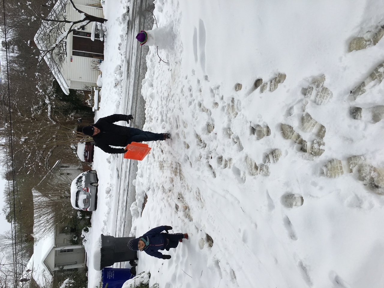 Rascal's Snow Day!, Rascal had some fun in the snow today, while walking  through a winter baseball land. Snow days are his favorite after baseball  days of course #snowdays