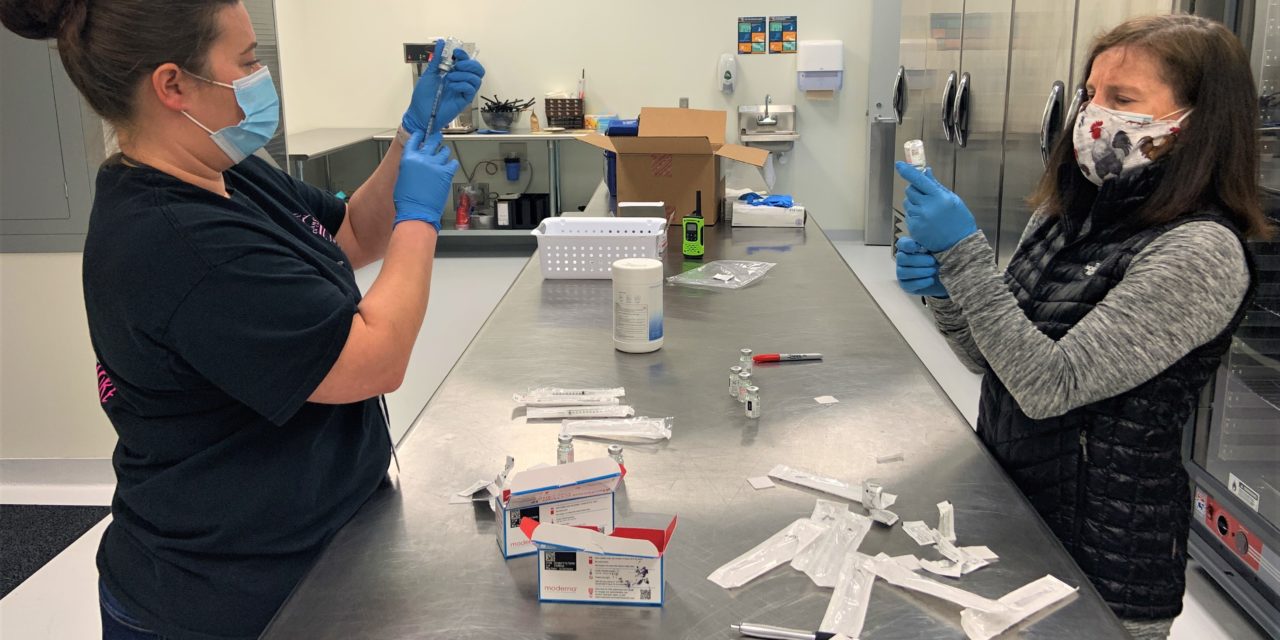Chatham County Roundup: Mass Vaccination Events and North Woods Neighbors